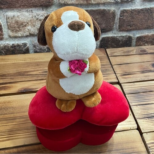 Peluş Oyuncaklı 365 Gün Aşk Sözü Hediye Kutusu