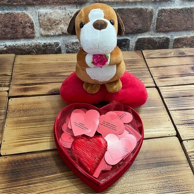 Peluş Oyuncaklı 365 Gün Aşk Sözü Hediye Kutusu